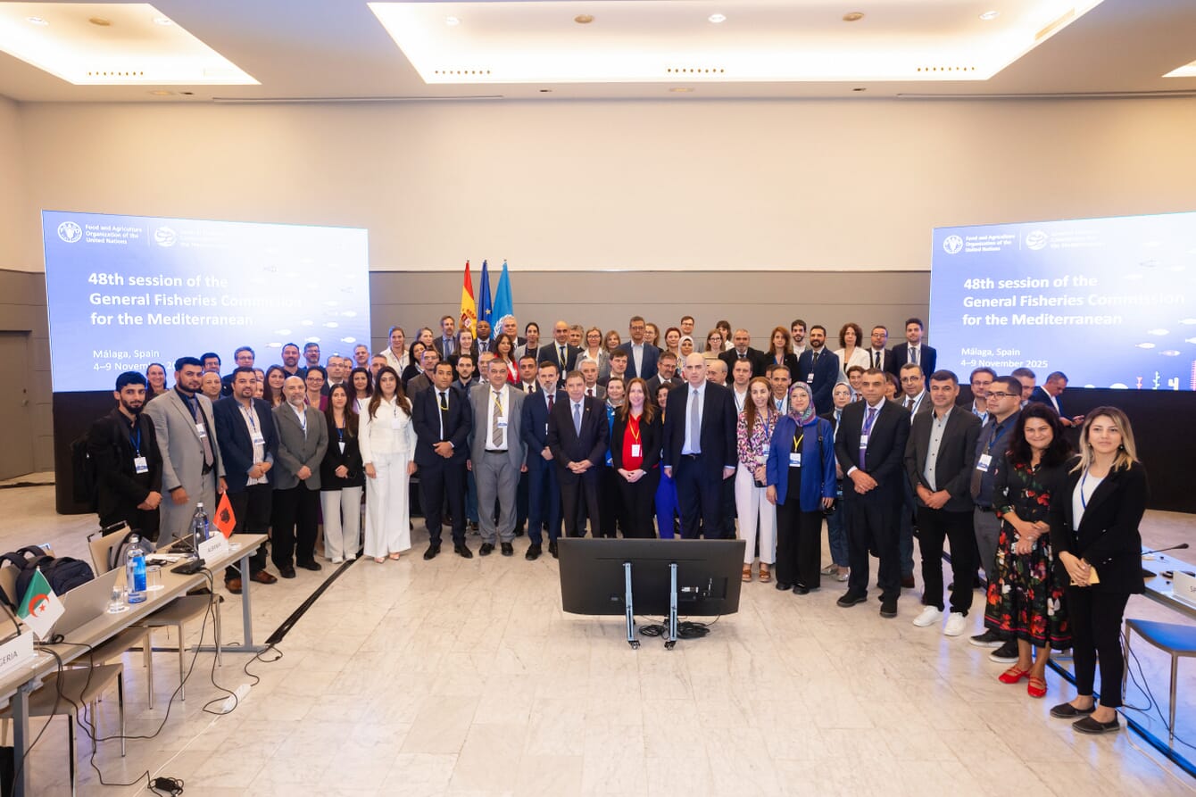 A group of representatives from the United Nations taking a group photo.