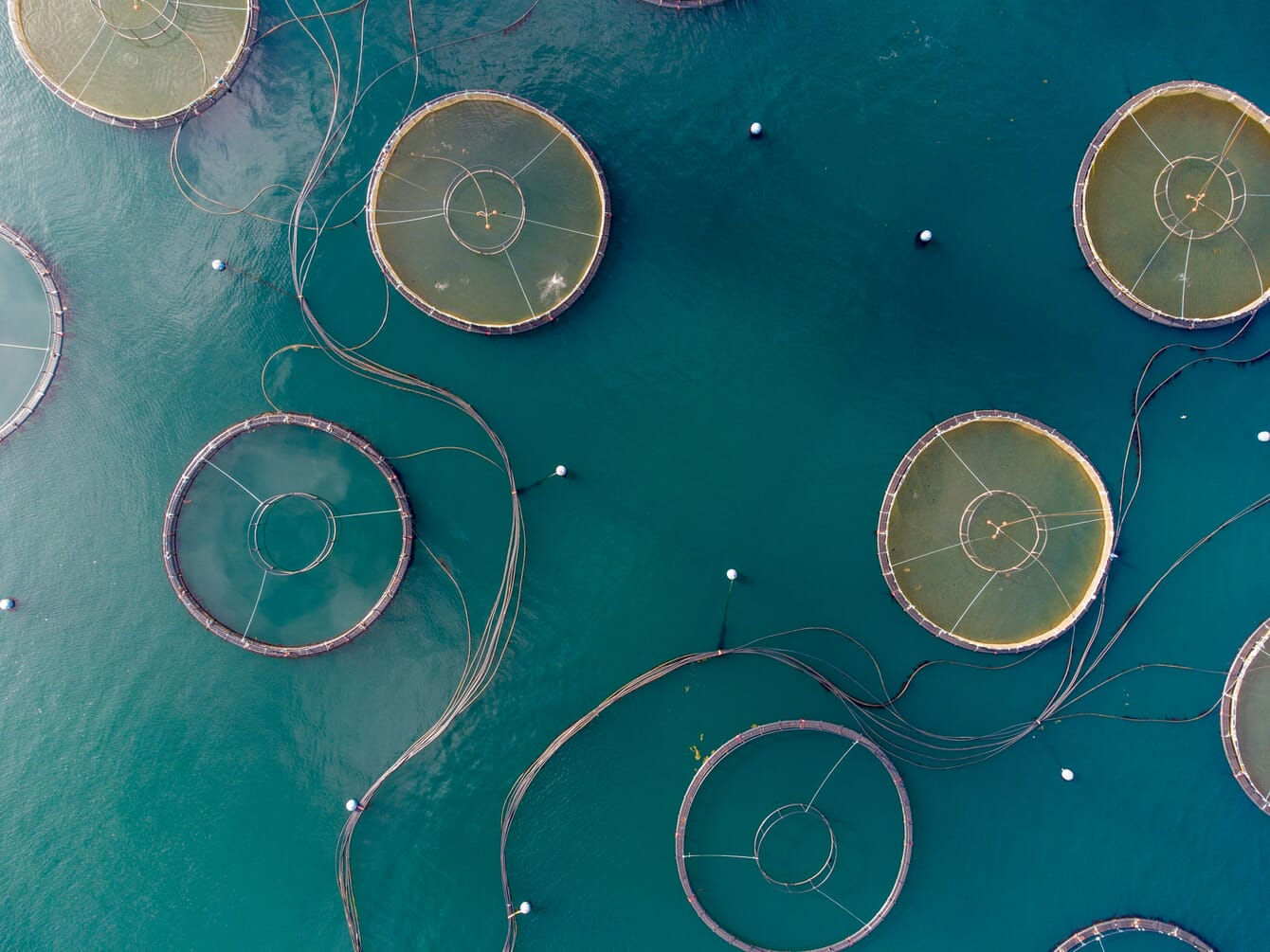 An aerial view of a salmon farm in Norway.