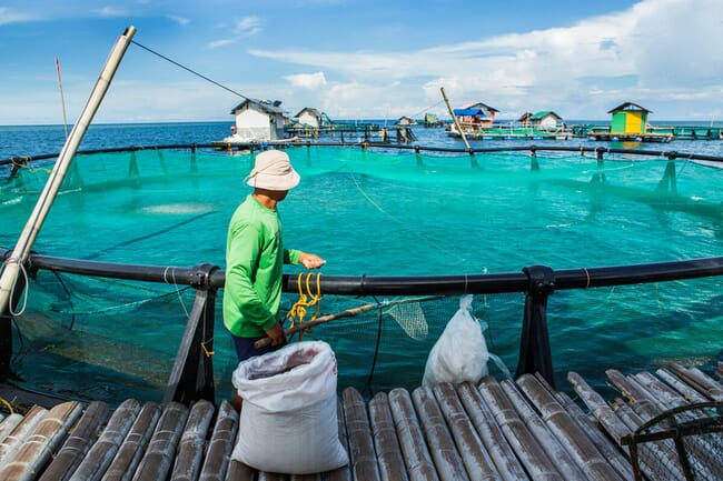 A man working on an aquaculture cage in Asia.