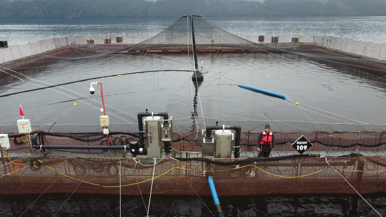 A fish farming pen.