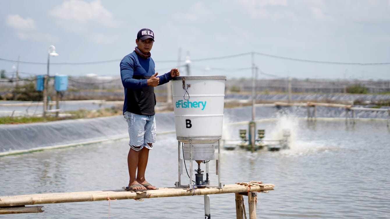 Person with shrimp feeder