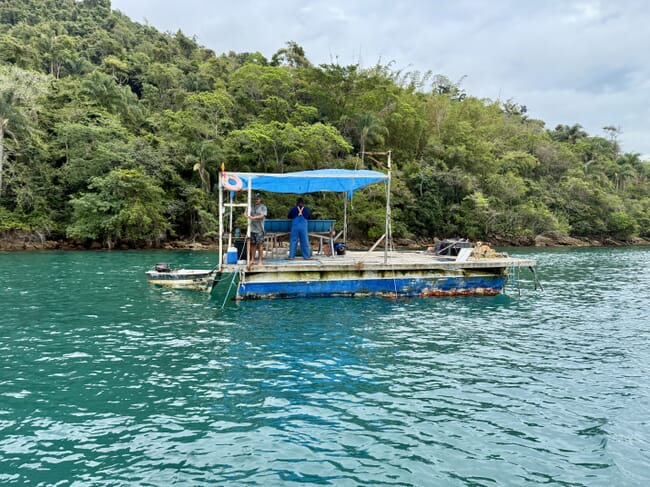 A floating seaweed farm platform in Brazil.