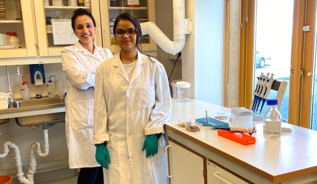 Two scientists in lab coats experimenting with insect meal.