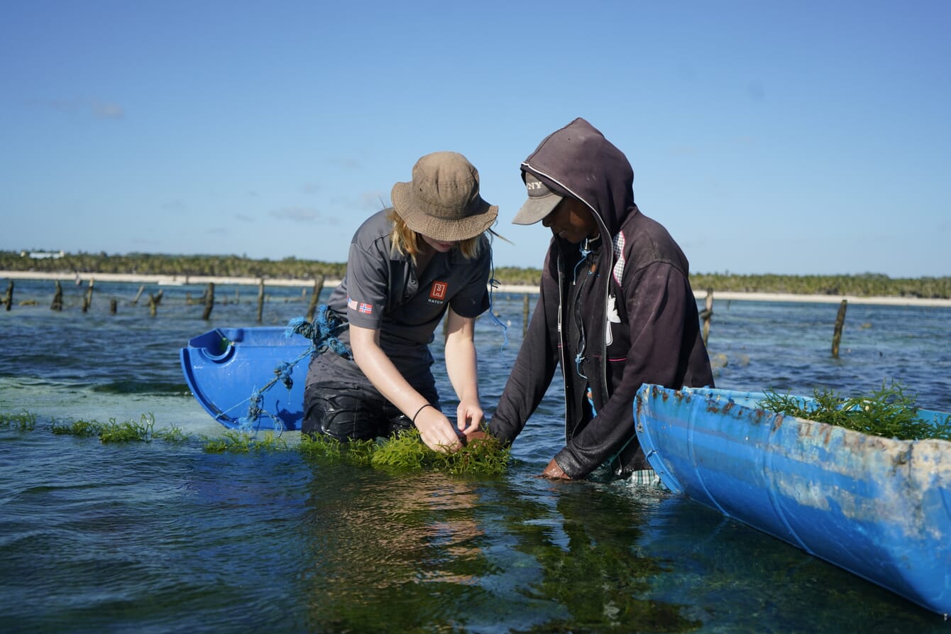 A consultant on a seaweed farm in Asia.