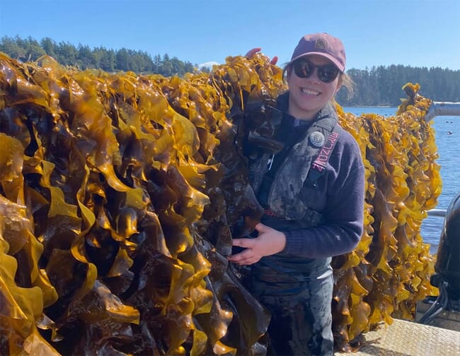 A woman standing beside a thick crop of line-grown kelp.