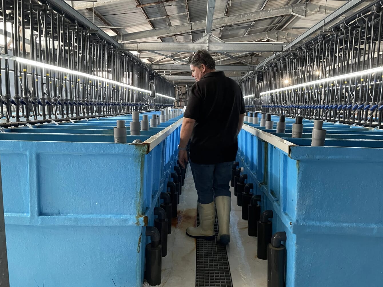 A fish hatchery in Greece.