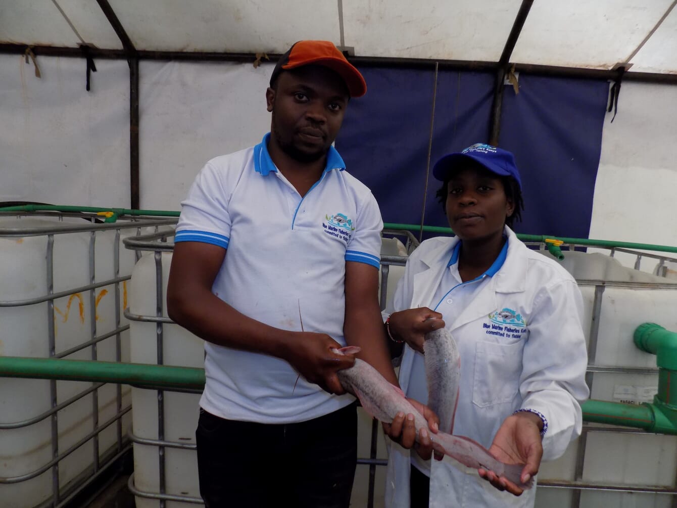 A man and a woman holding some catfish at their farm.