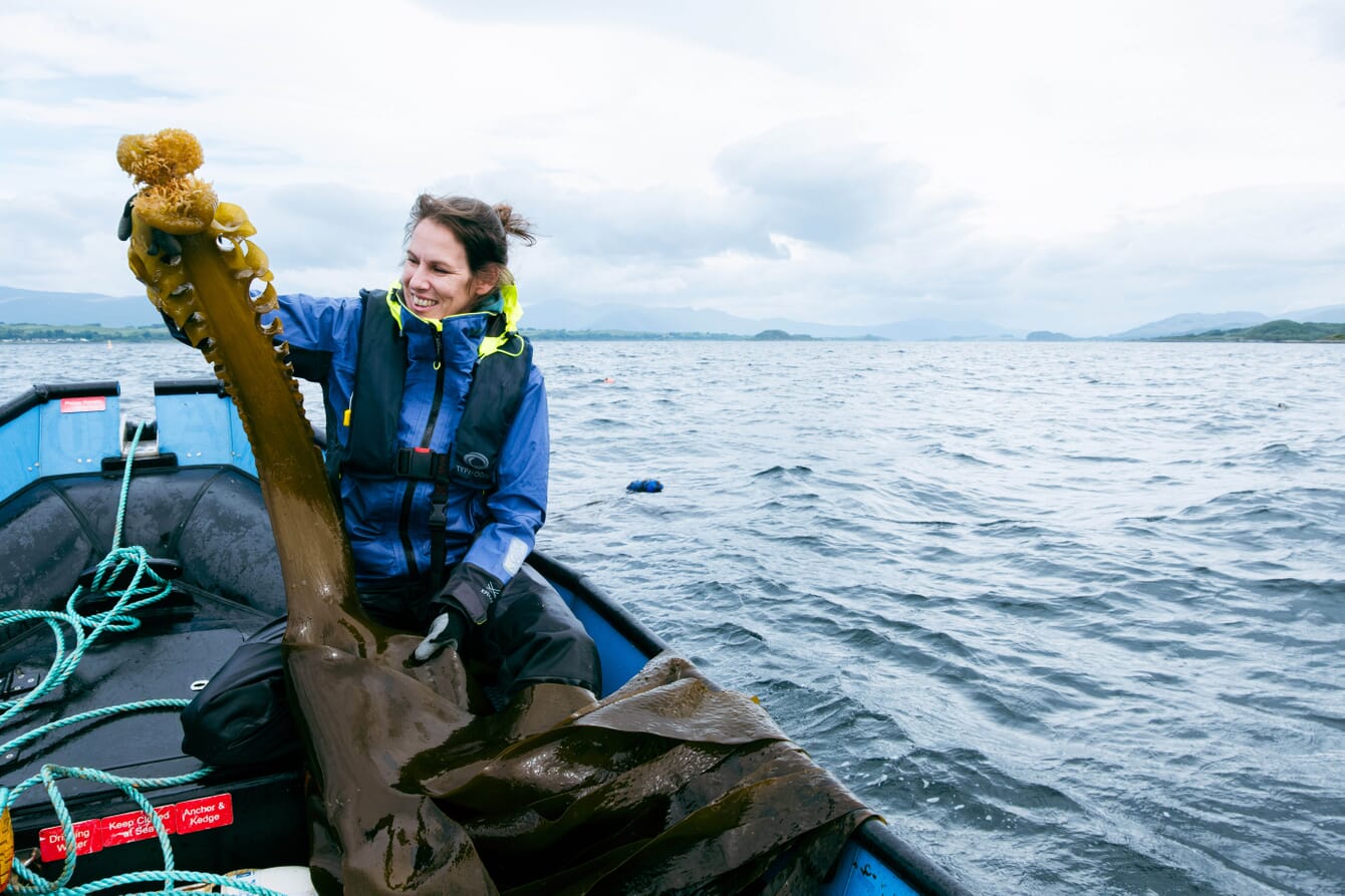 A scientist holding farmed seaweed on a boat.
