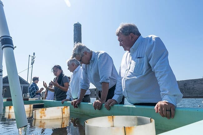 four people standing near an aquaculture tank