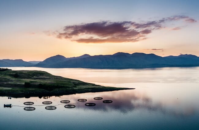 Aerial view of a salmon farm.