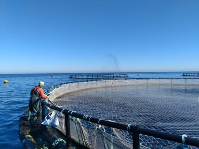 marine net pen