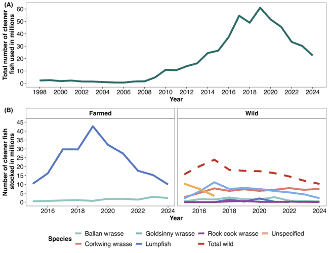 A graph showing the use of cleanerfish in Norwegian Atlantic salmon aquaculture